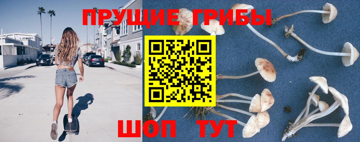Галлюциногенные грибы Cubensis  Псилоцибиновые грибы ЛСД  Заринск  Вход с VPN 