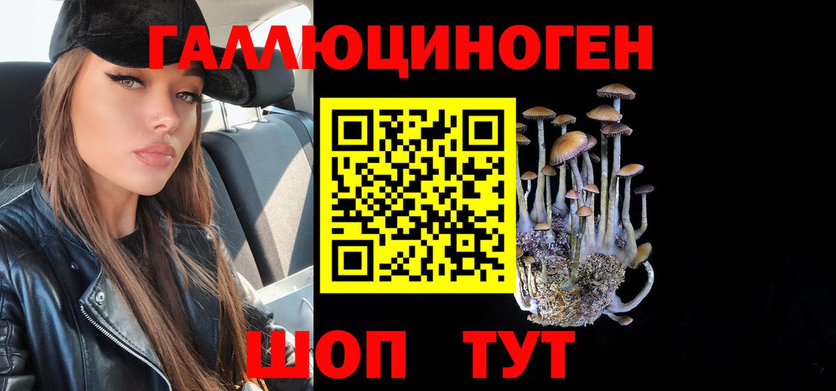 Псилоцибиновые грибы прущие грибы Заринск